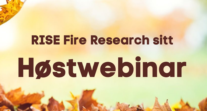 skjermbilde-2024-12-13-121243